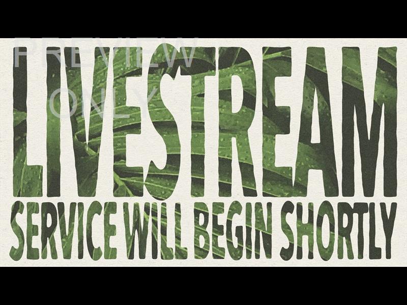 Hosanna Livestream Still
