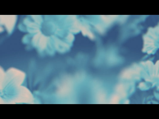 Made Beautiful Loop 02