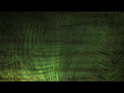 Palm Sunday Texture