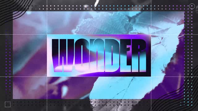 Wonder Title
