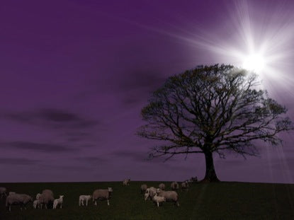 While Shepherds Watched
