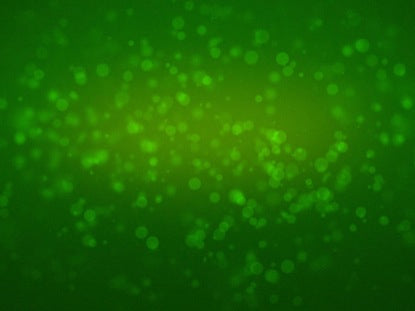 Green Rotating Particles