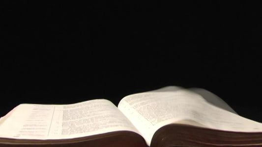 The Bible