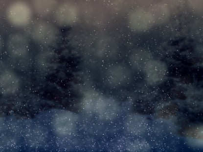 Winter Forest 4