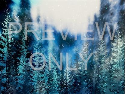 Christmas Woods 10 Still