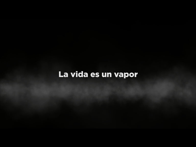 La Vida Es Un Vapor