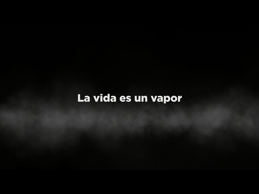 La Vida Es Un Vapor