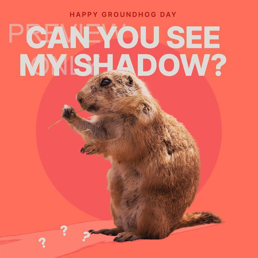 Groundhog Day