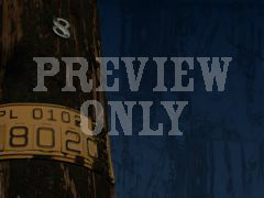 Telephone Pole