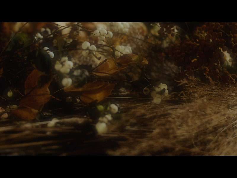 Flora Fall Loop 01
