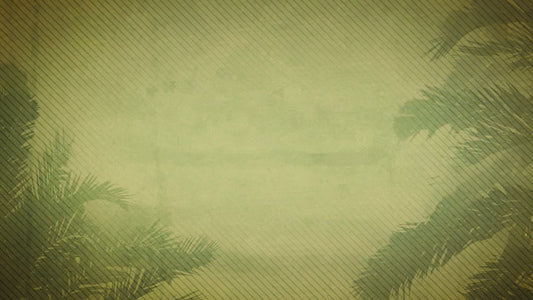 Palm Sunday 04 Still