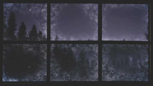 Christmas Windows 3 Still