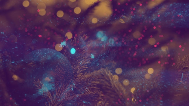 Christmas Reflections 12