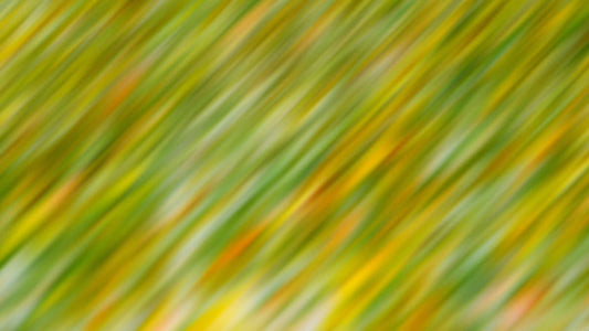 Springtime Bloom 10