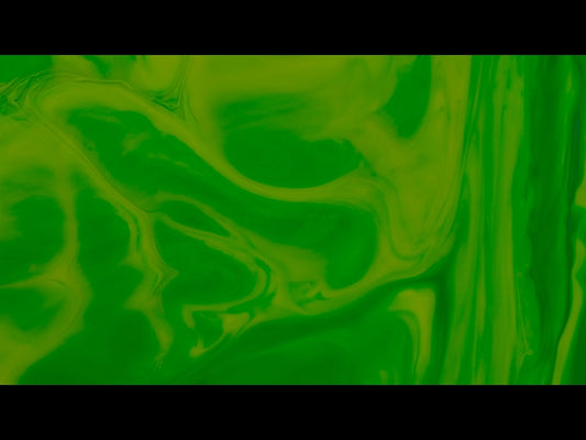 Palm Sunday Paint: 2