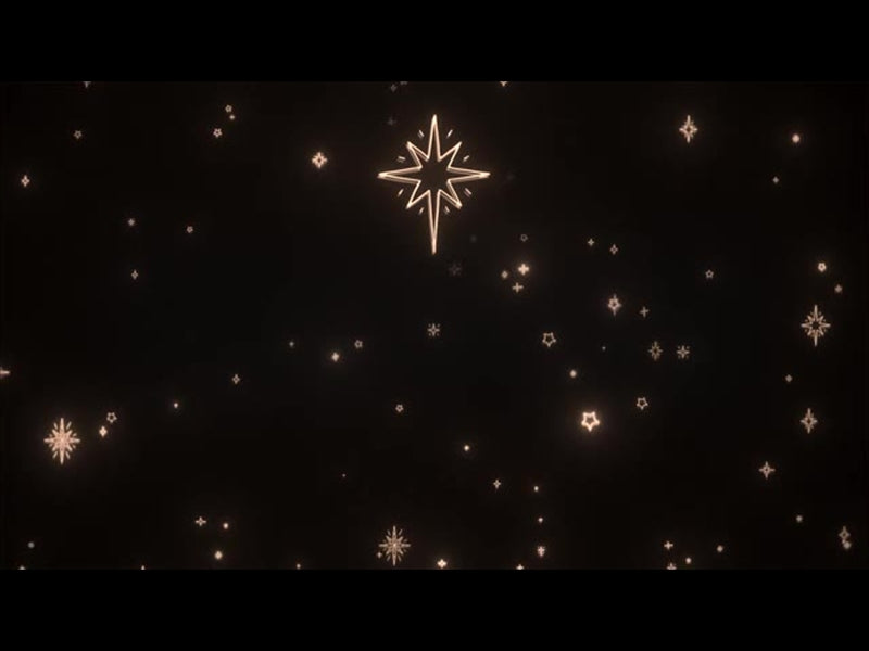 Neon Stars: 21