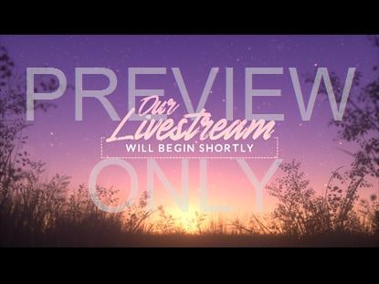 Summer Fireflies Livestream