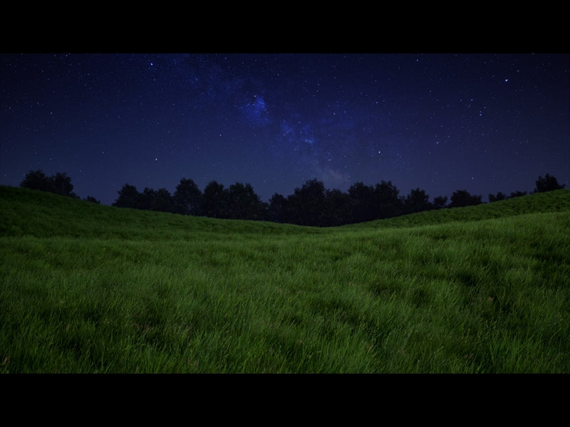 Prairie Grass Field Night