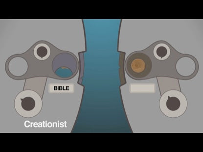 Check This Out- Fossils