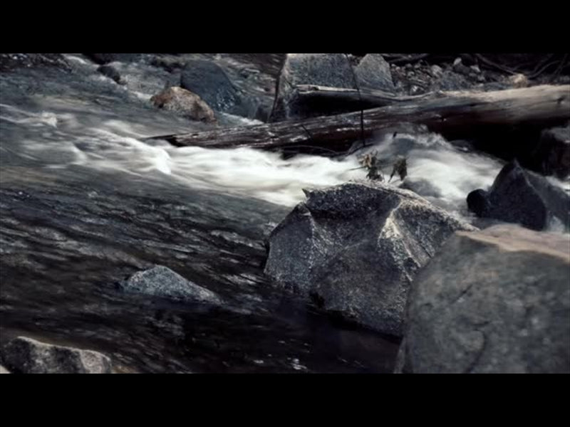Yosemite River 1