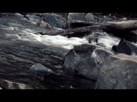 Yosemite River 1
