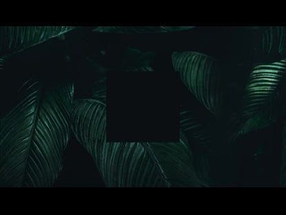 Tropical Leaves Fronds Square