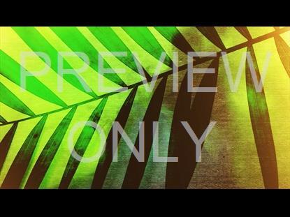 Palm Sunday 2 Graphic