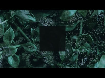 Layered Greenery Square