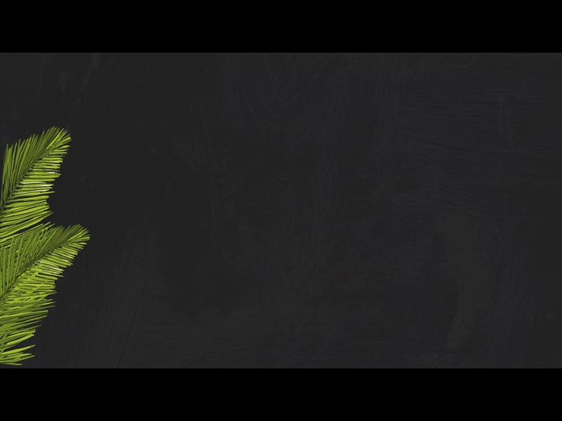 Polaroid Palm Loop 07