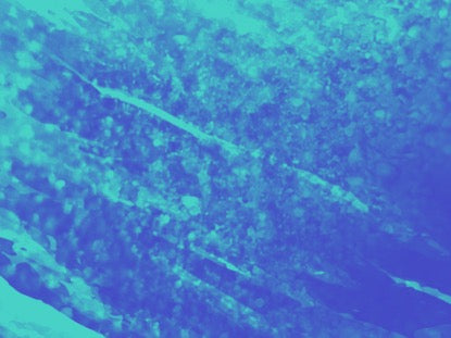 Color Dynamics Motion 4