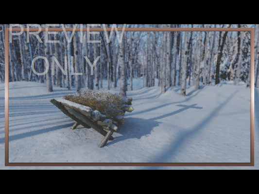 Christmas Joy: Still Manger 16