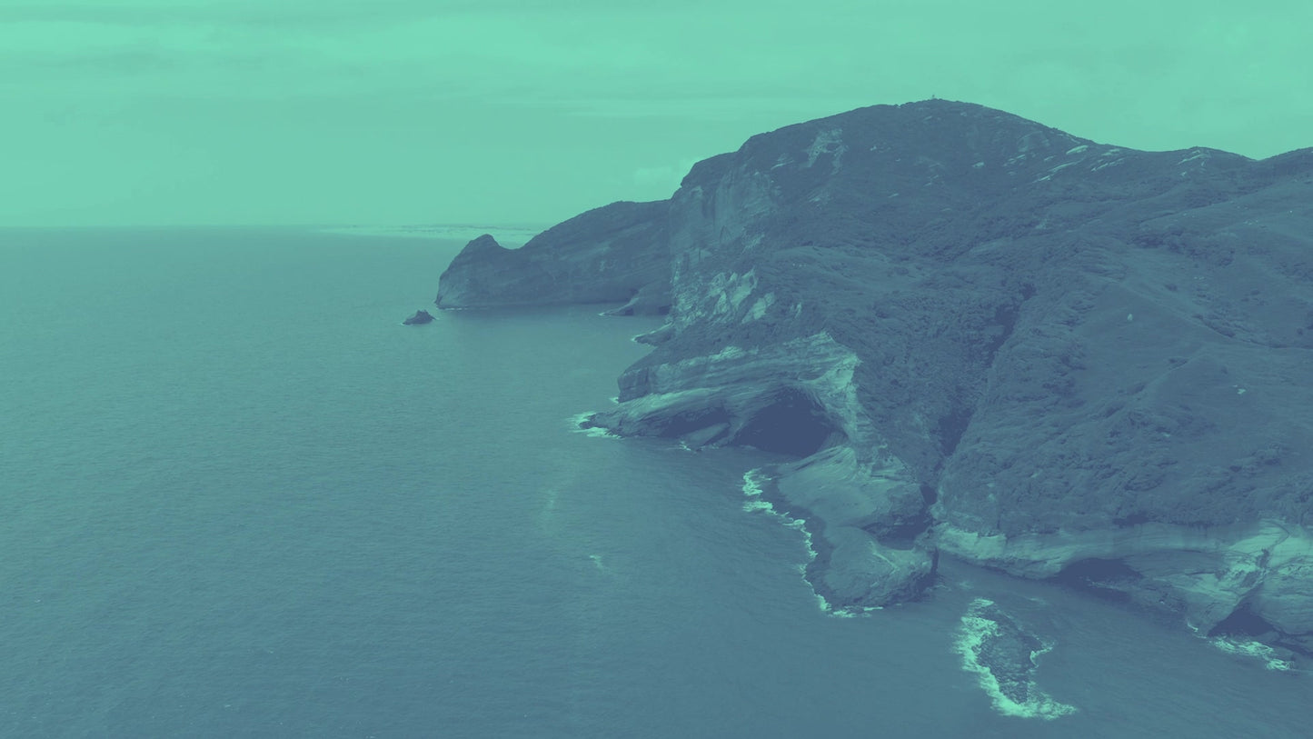The Coast 4 Alt Still