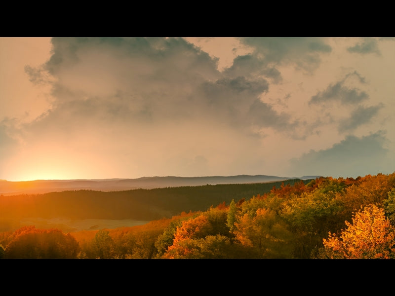 Wilderness Fall 1
