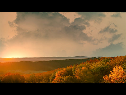 Wilderness Fall 1