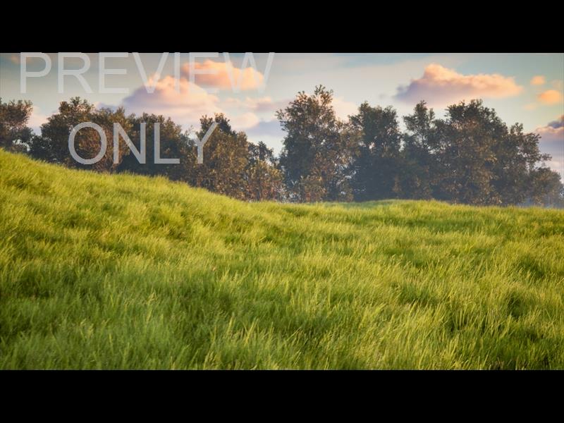 Prairie Meadow Drift Still