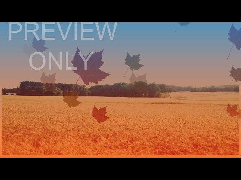Harvest Background Still 3