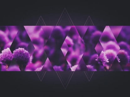 Spring Shift Purple Bar