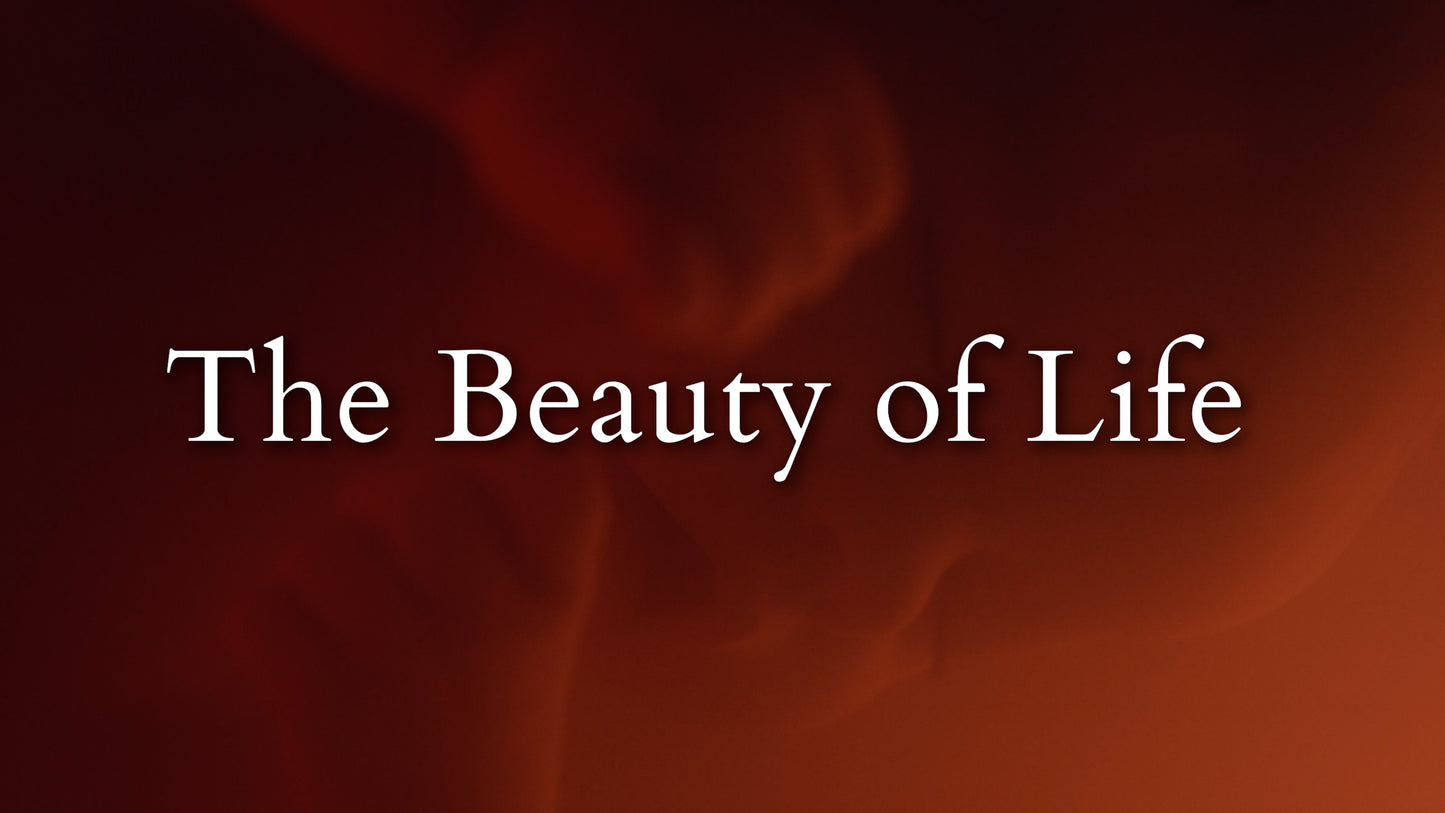 The Beauty Of Life