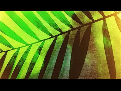 Palm Sunday 2
