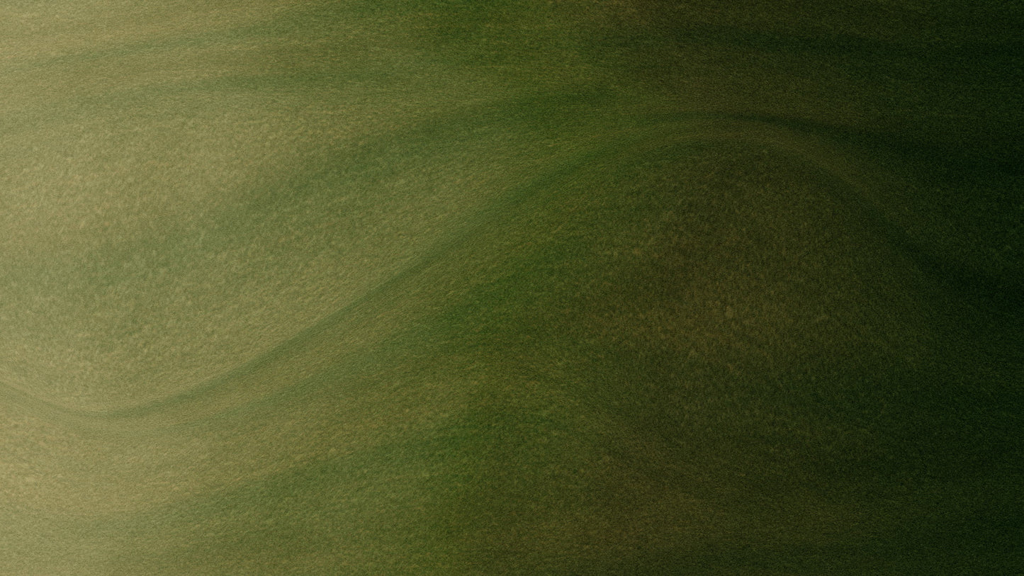 Wind Swept Loop 14