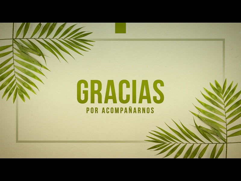Agradecimiento De Domingo De Ramos
