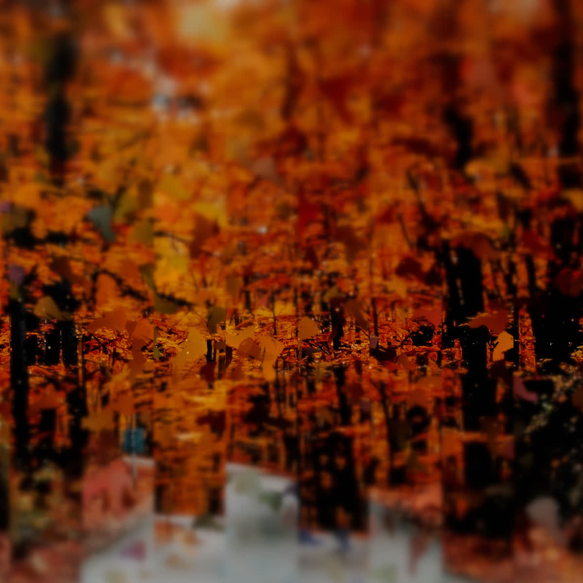 Autumns End Sunday Blank