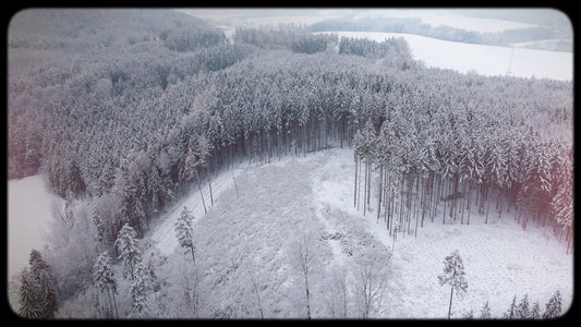 Retro Winter 08