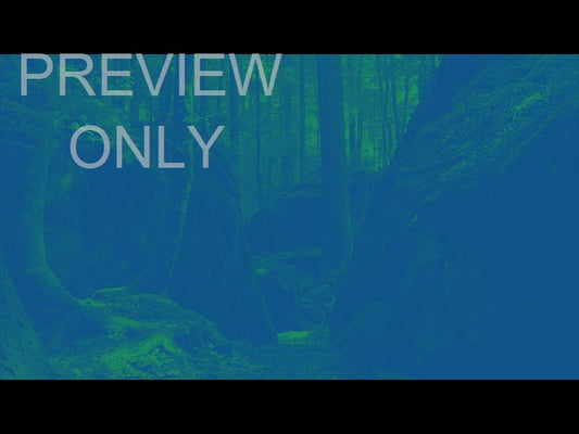 Deep Forest Boulders Blue Mint Still