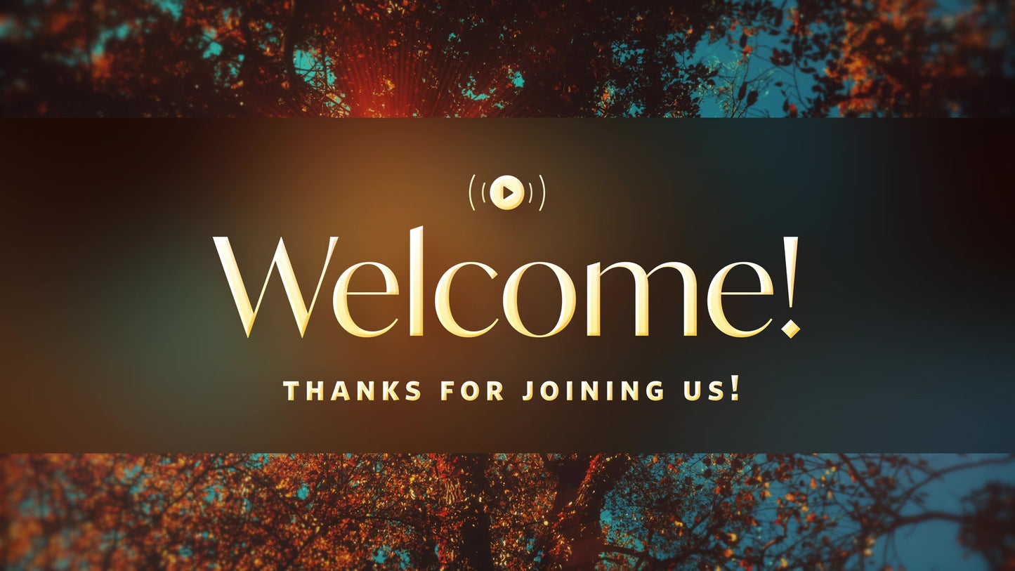 Autumn Canopies Welcome Stream Still