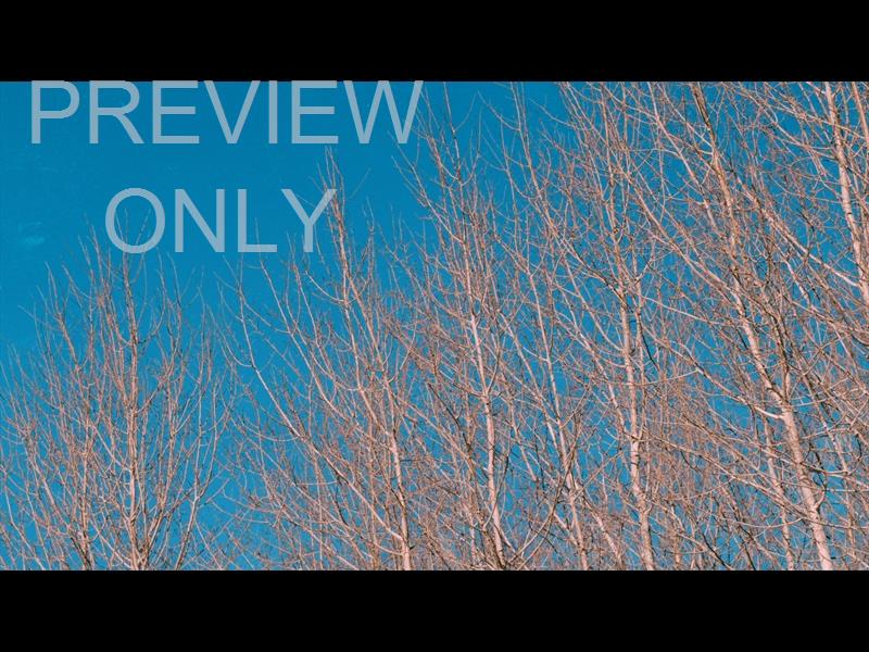 High Heavens Still 02