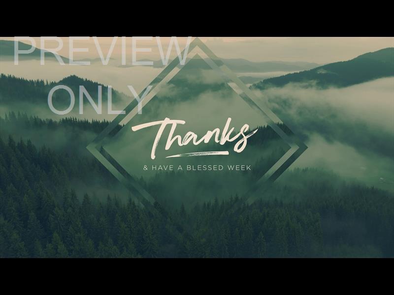 Misty Pines Thanks Still