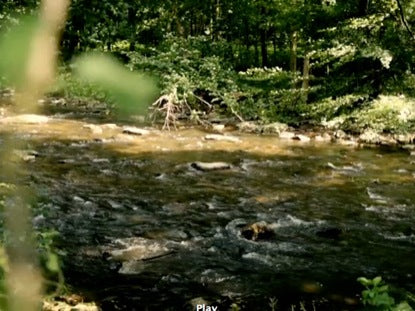 Czech River 1