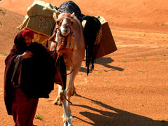 Magi In Desert 6