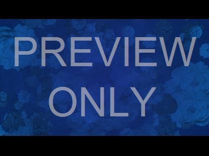 Who You Say I Am Still 6